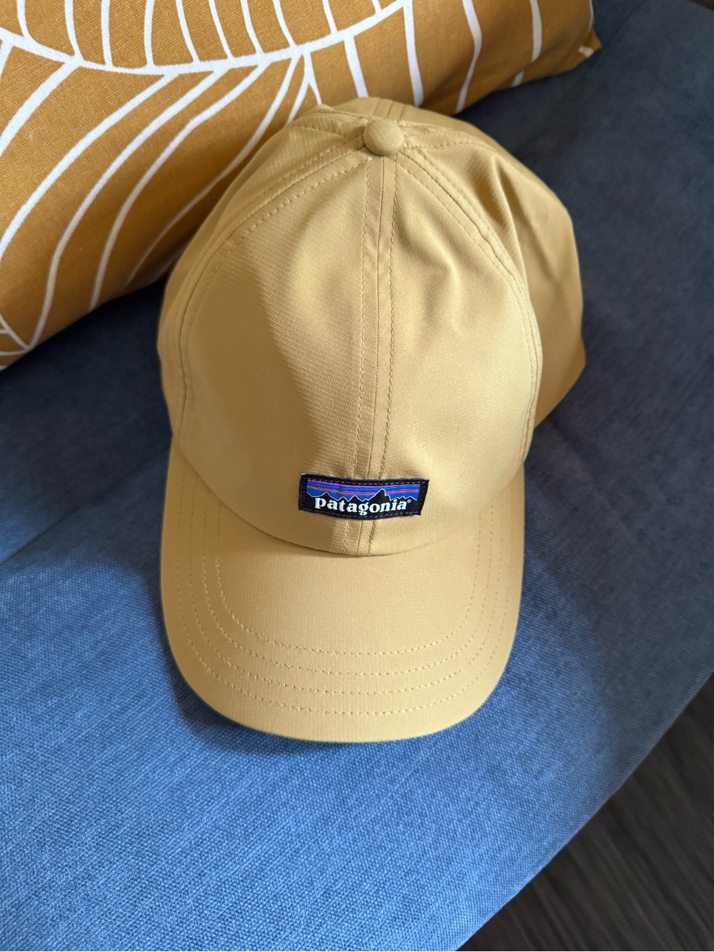 Patagonia Terrebonne cap